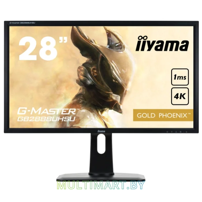 Монитор Iiyama G-MASTER GB2888UHSU-B1